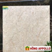 Gạch lát nền phòng khách 80x80 Hong Appollo